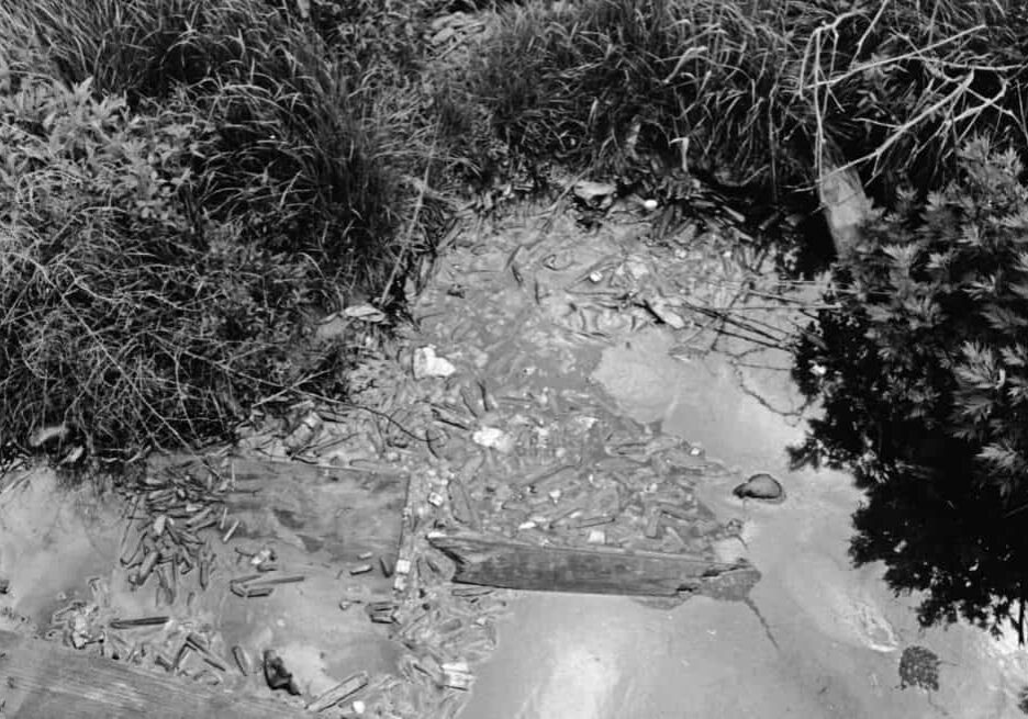 1990_FK_detritus4_2000w