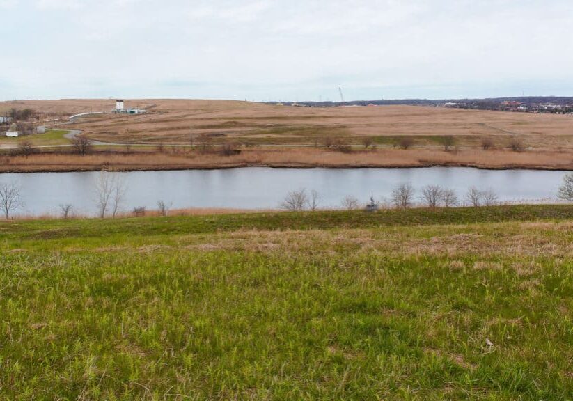 We see a waterway between two mounds at Freshkills Park in March when some of the grasses are coming out of dormancy.